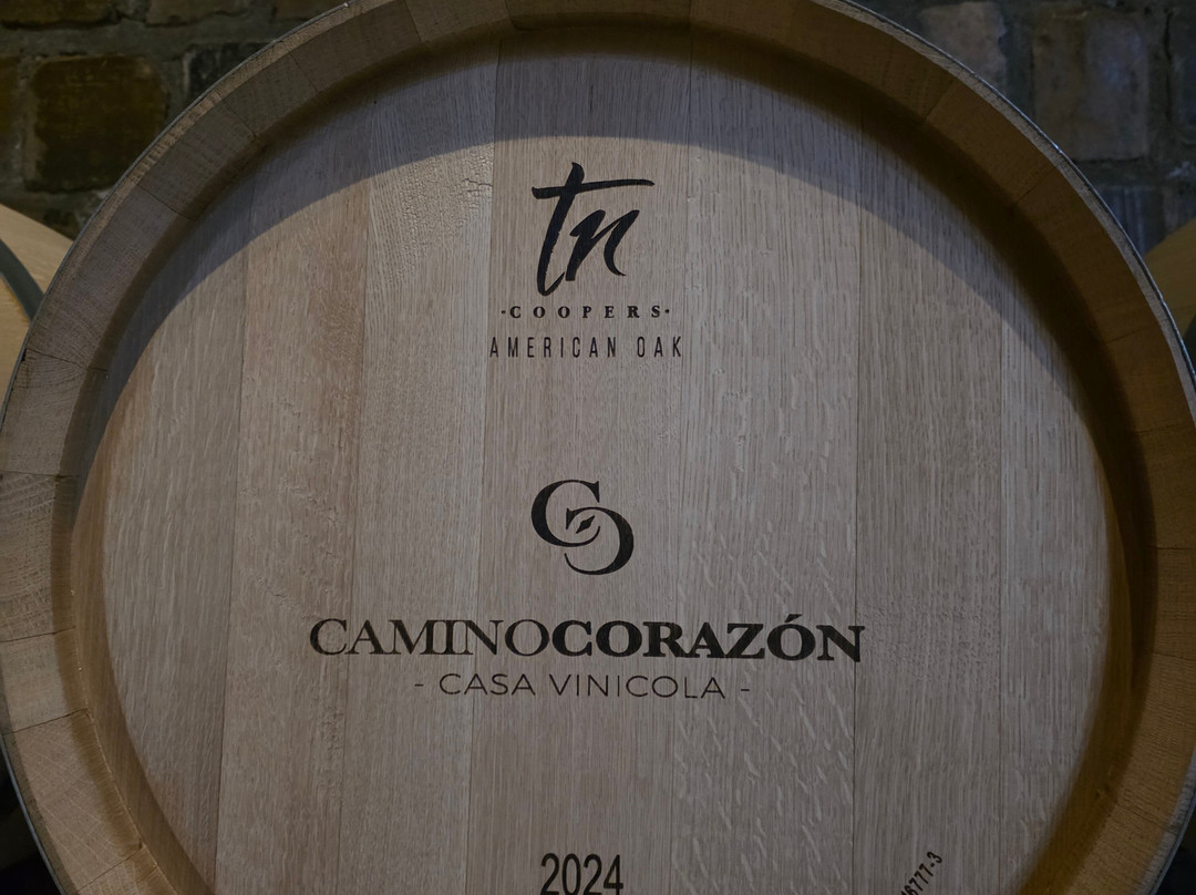 Camino Corazón Casa Vinícola-Parras de la Fuente必去景点