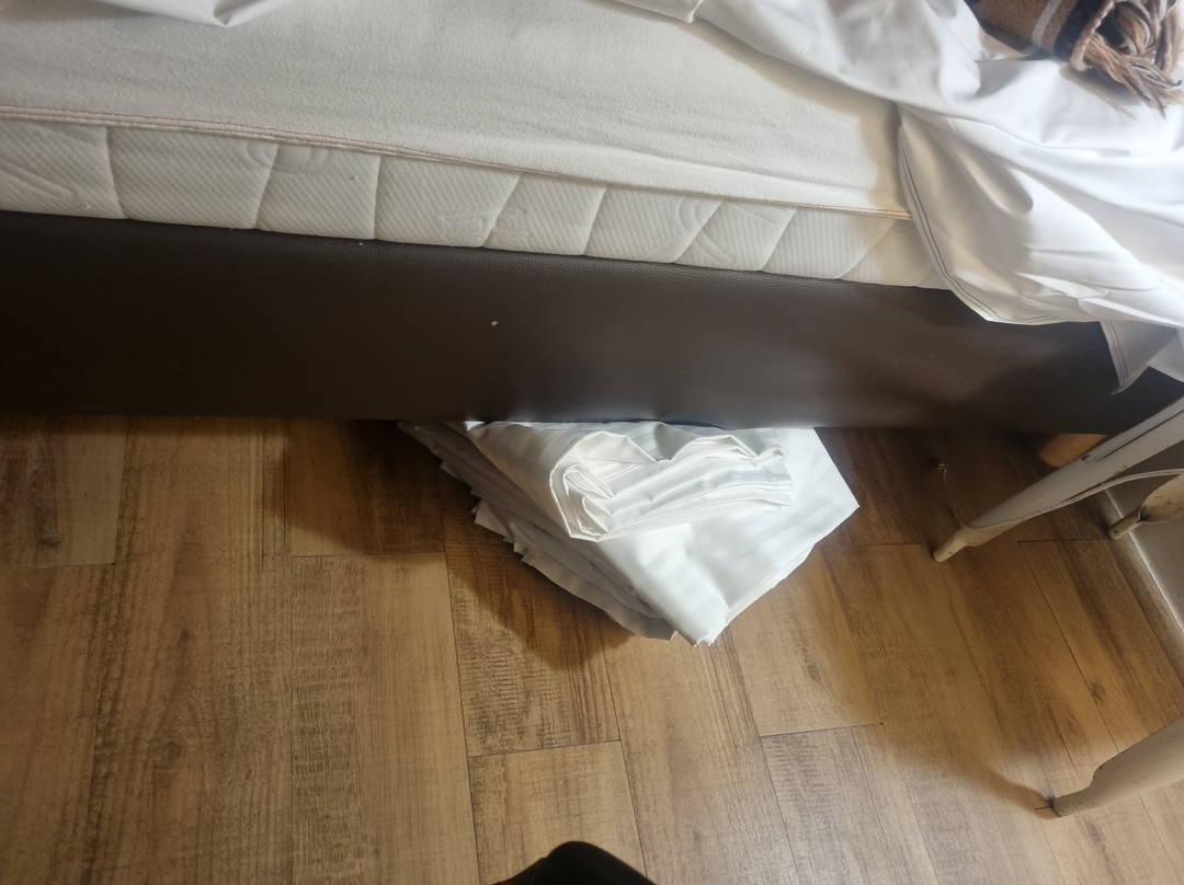 Best Western Zaan Inn主图