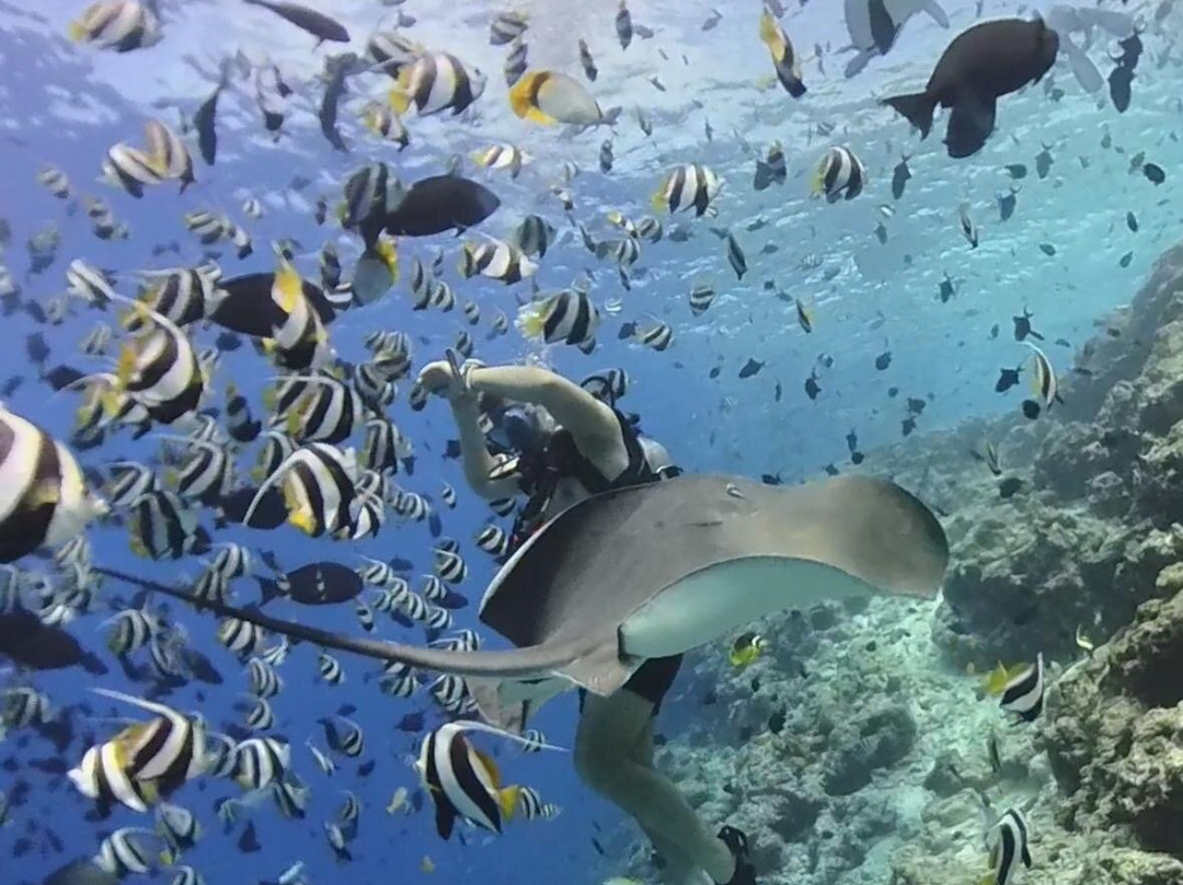 Other Divers at Huraa-呼拉岛必去景点