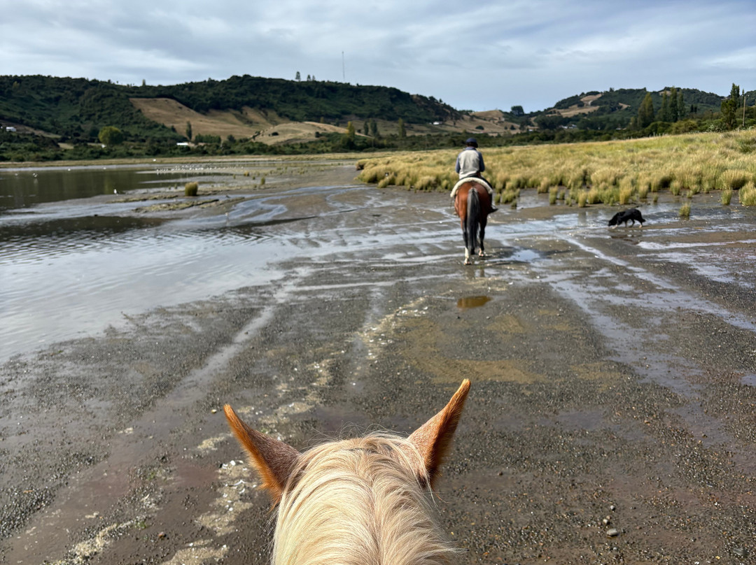 Rancho Pullao-Castro必去景点