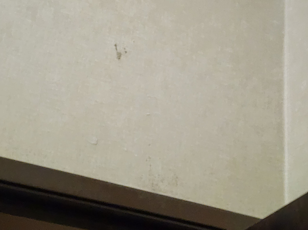 斯普林菲尔德呗盟套房酒店主图