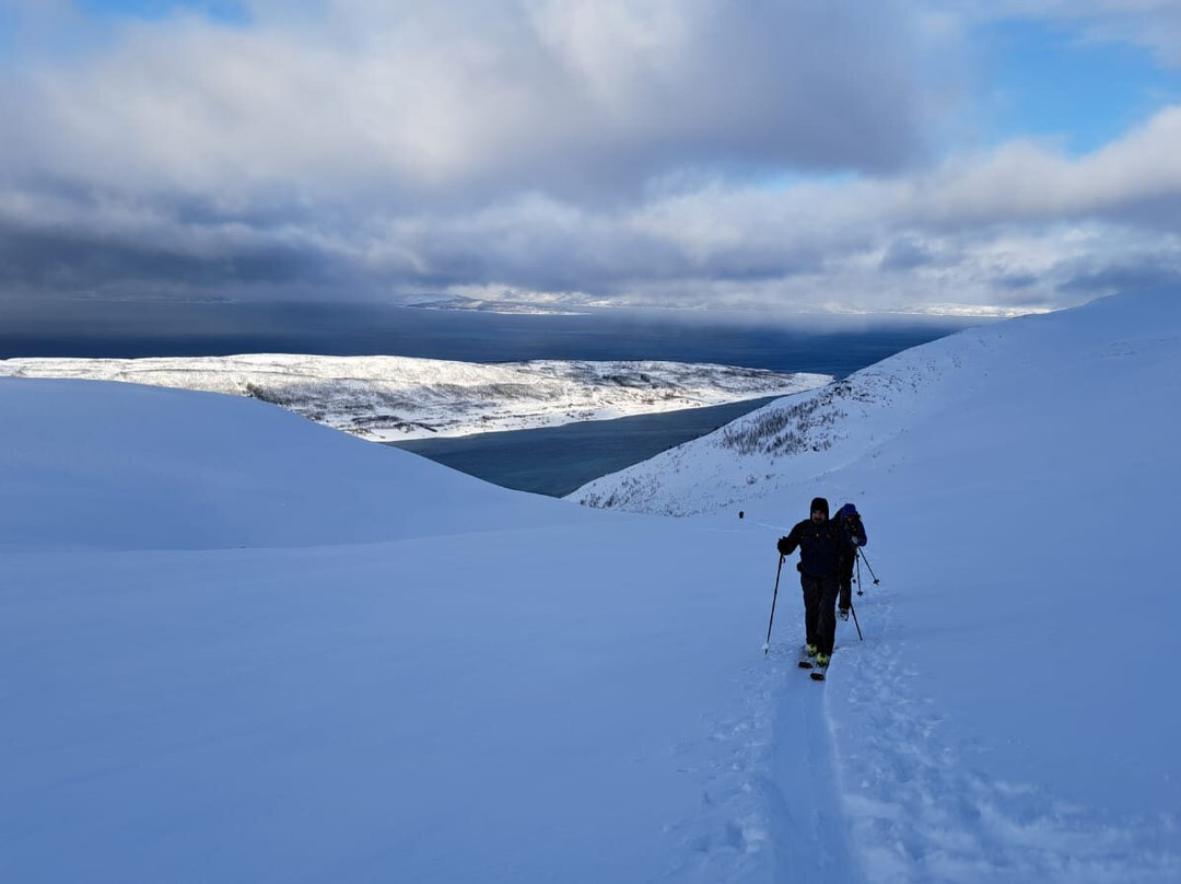 Arctic Cruise In Norway AS - Day Tours-特罗姆瑟必去景点
