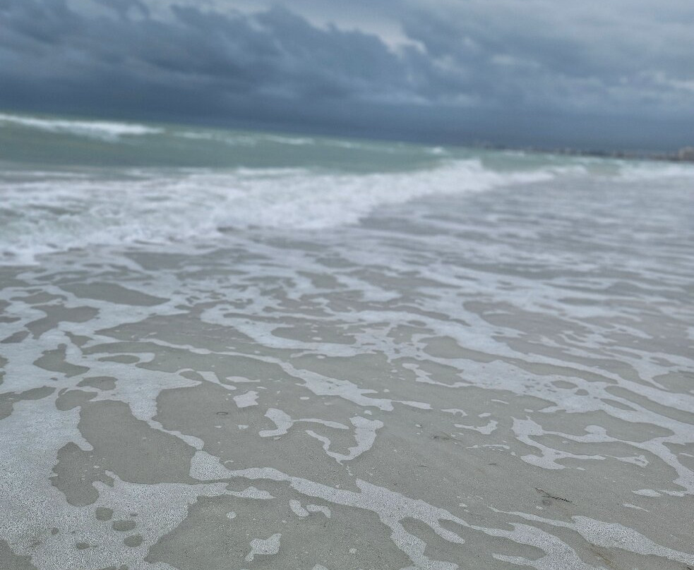 Twin Palms at Siesta主图