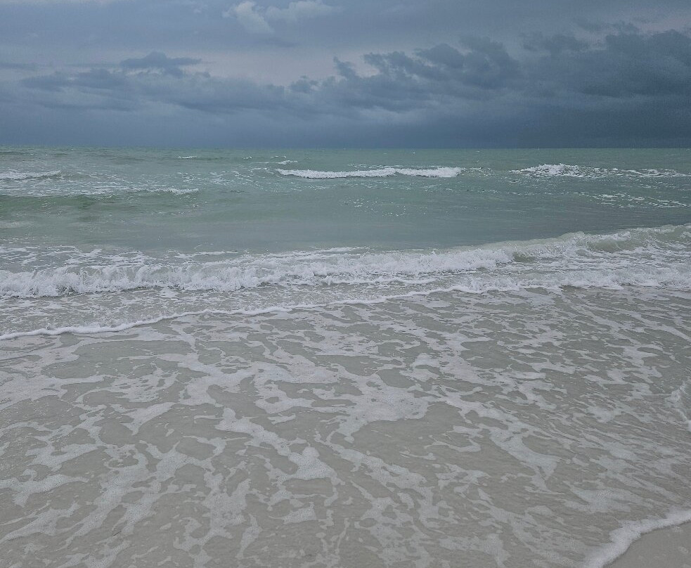 Twin Palms at Siesta主图