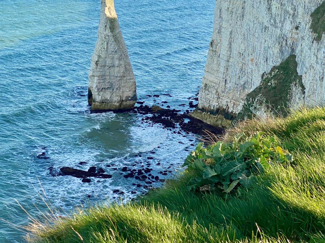 Old Harry Rocks景点图片