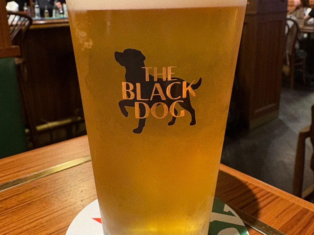 The Black Dog