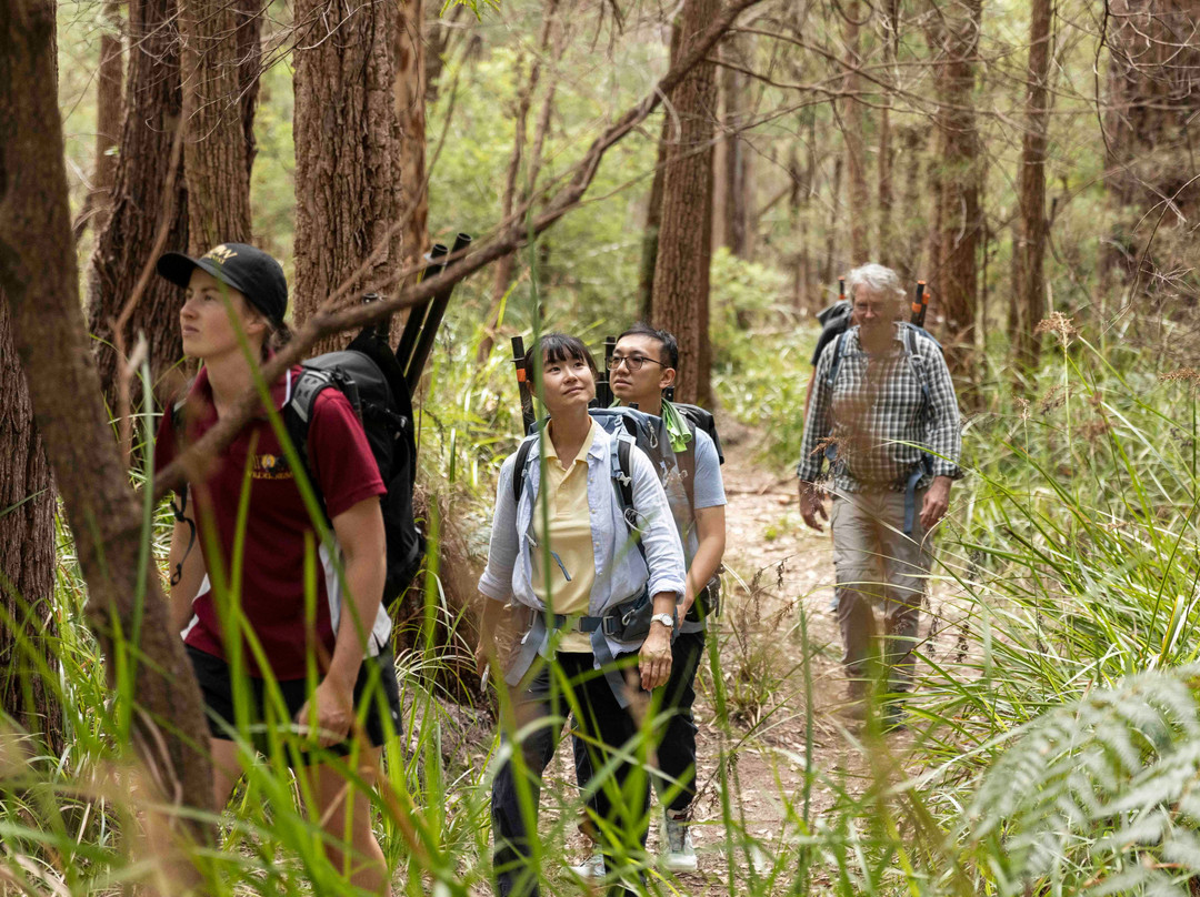 Wow Wilderness Ecoadventures景点图片