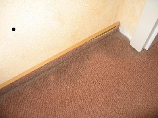 Hotel Schloss Zell主图