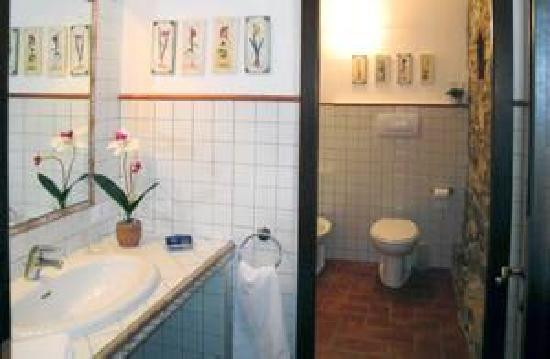 Fattoria Conio Agriturismo podere Capannuccia主图
