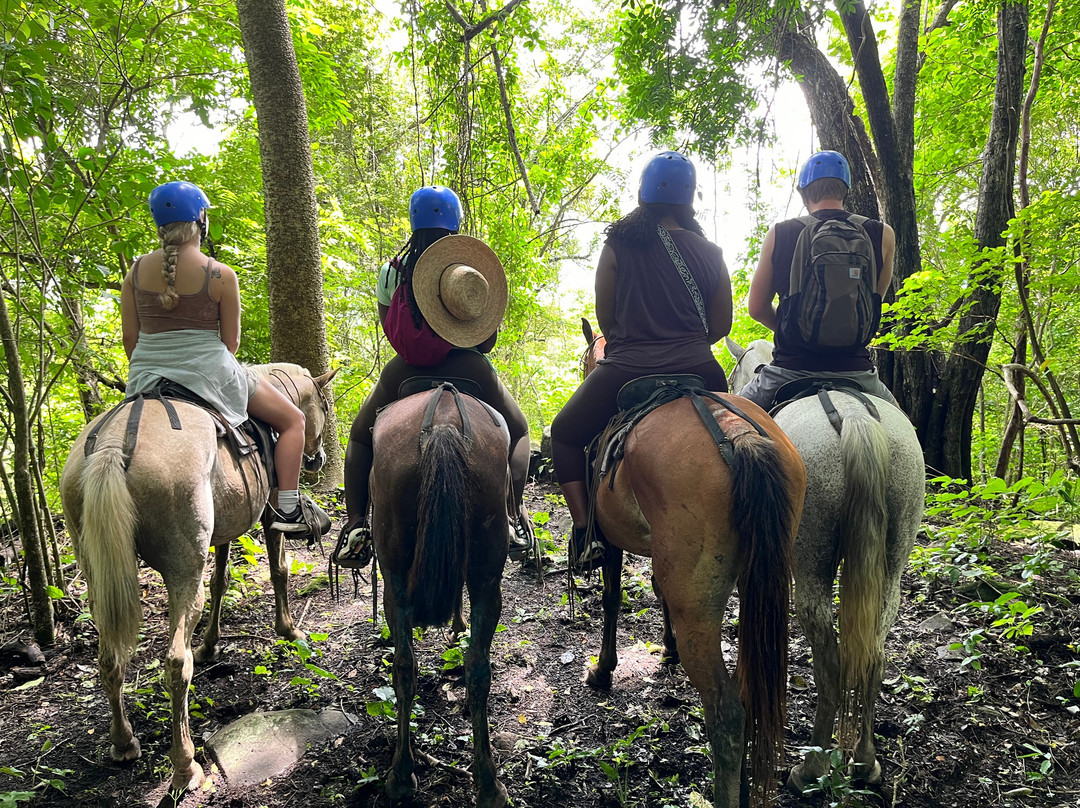 Hacienda El Cenizaro Tours & Adventures景点图片