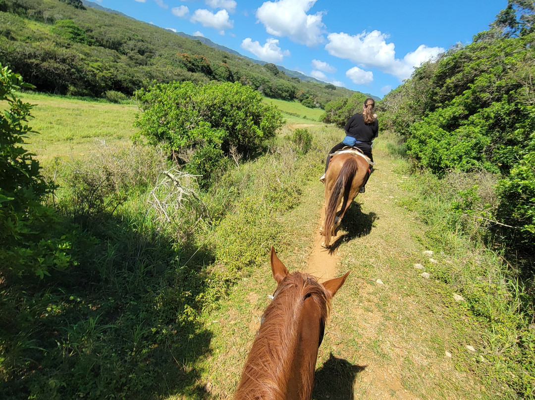 枪托牧场-拉叶必去景点