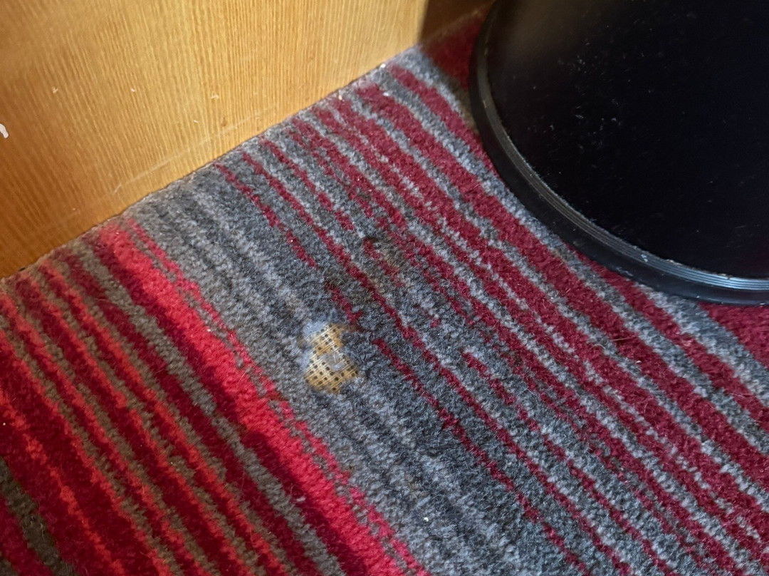 杰斯蒙纽卡斯尔假日酒店主图