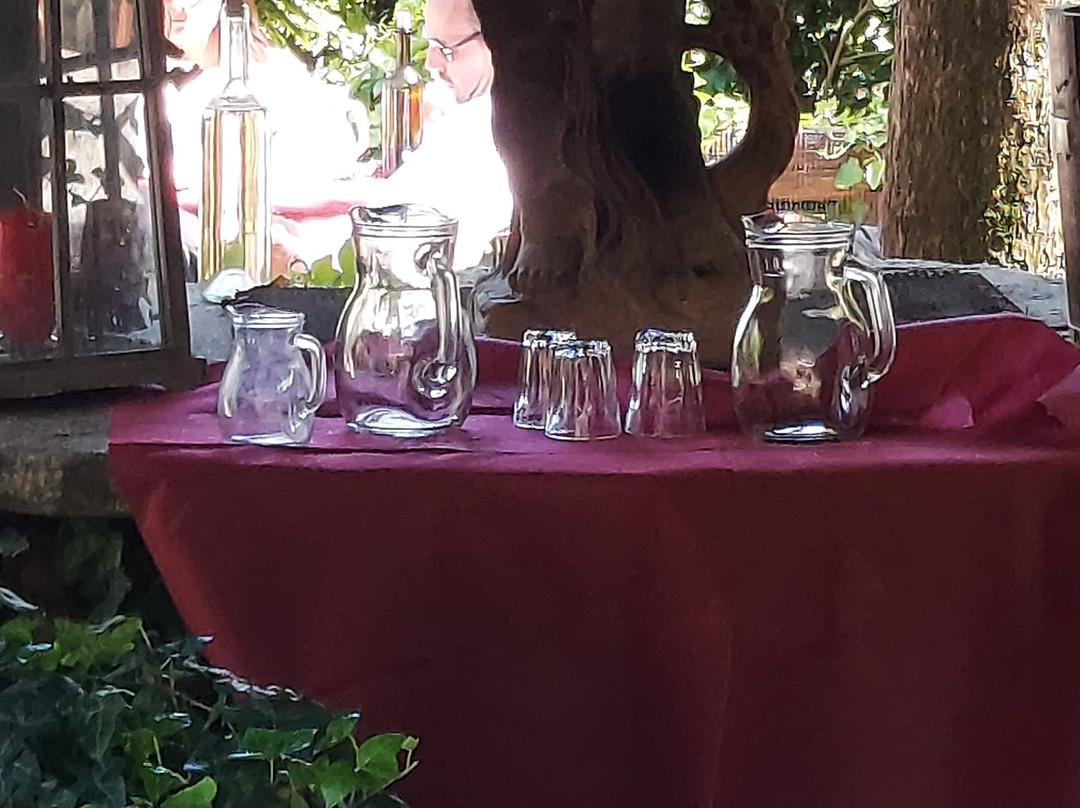 Agriturismo Le Camelie主图