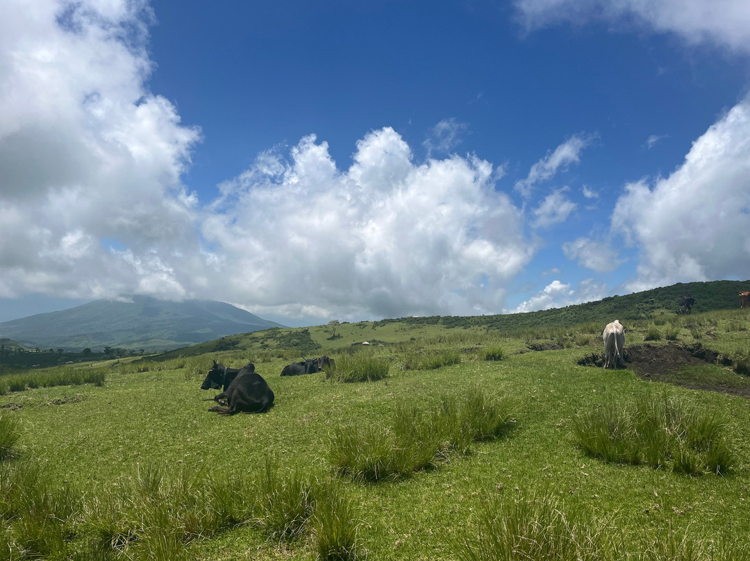 Great View Adventure-阿鲁沙必去景点
