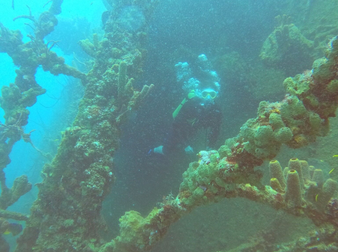 Aruba Premier Boat and Dive景点图片