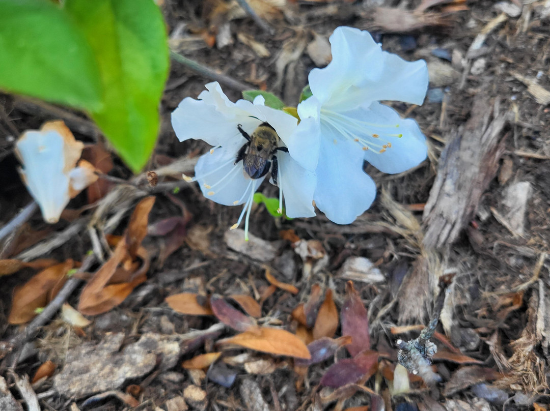 I-95 North Carolina Welcome Center-Rowland必去景点