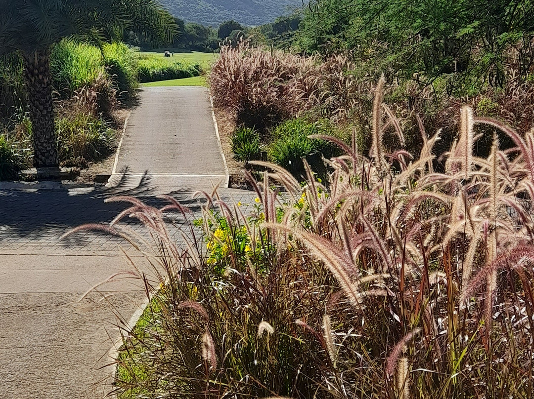 Tamarina Golf Club - Mauritius-塔玛琳必去景点