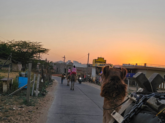 Gorma Tours &Travels-普希卡必去景点