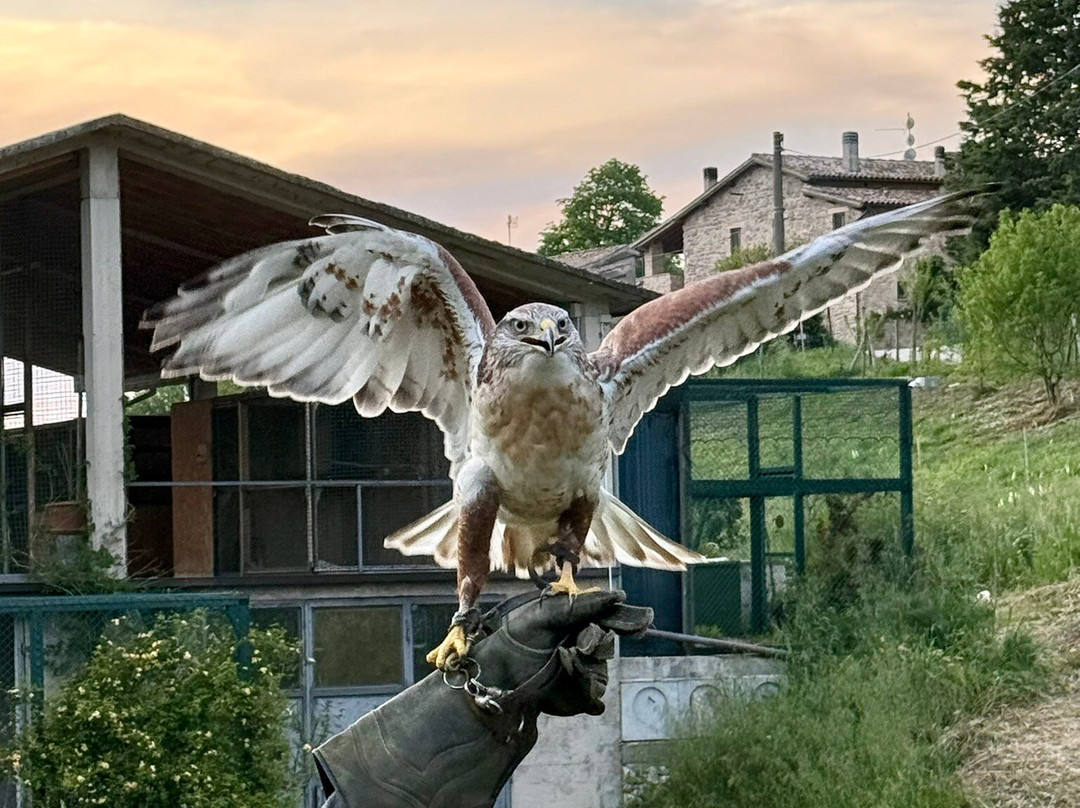 Fattoria Del Quondam主图