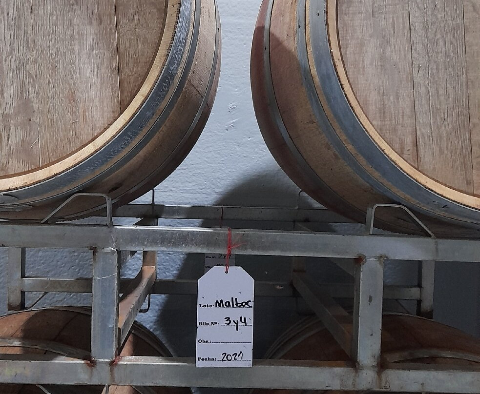 Wapisa Winery-Viedma必去景点