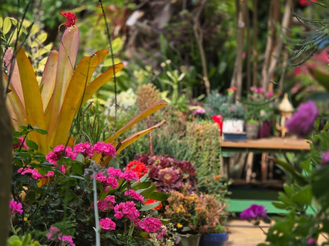 Jardín Botánico La Almunya del Sur-艾尔艾吉多必去景点
