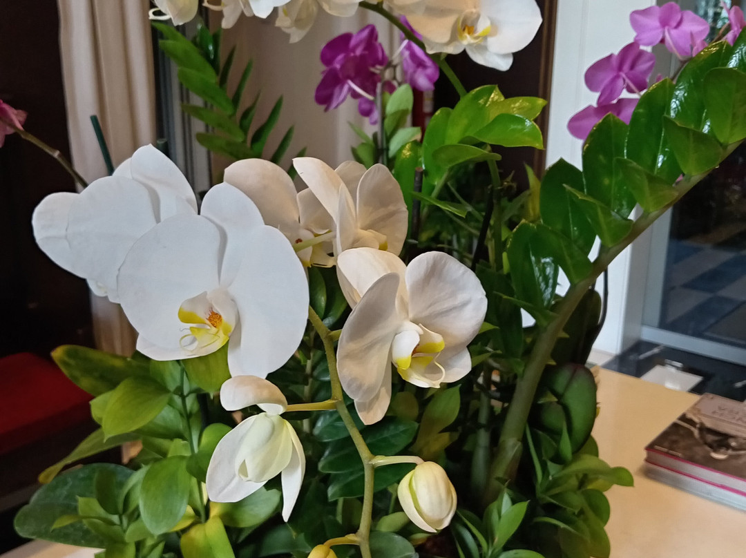 Cayena-Caracas Hotel主图