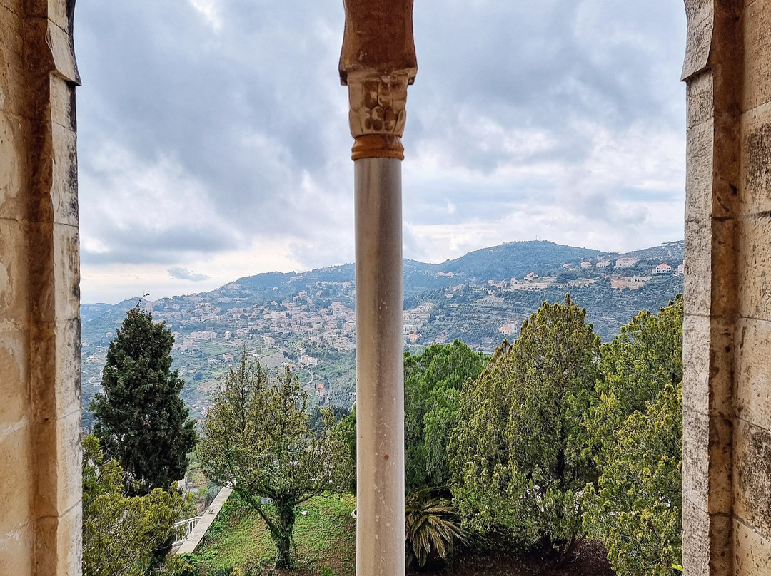 Mir Amin Palace Hotel主图