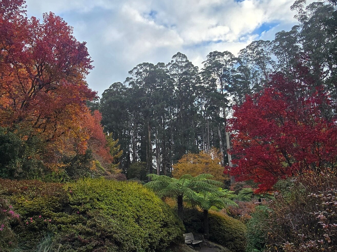 Dandenong Ranges Botanic Garden-奥林达必去景点