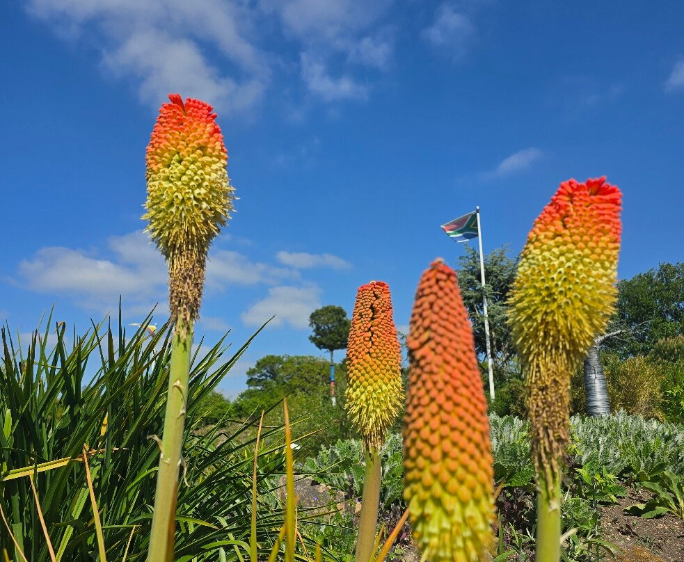 Lullingstone Castle & The World Garden-Eynsford必去景点