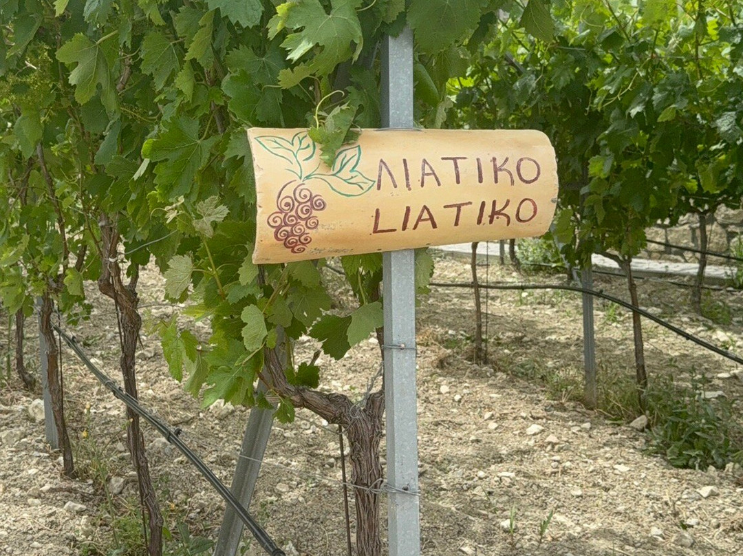 Titakis Wines - Fabrika Wine Experience-Kounavi必去景点