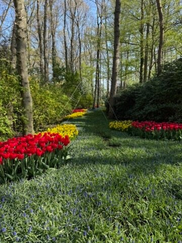 Keukenhof Gardens-利塞必去景点