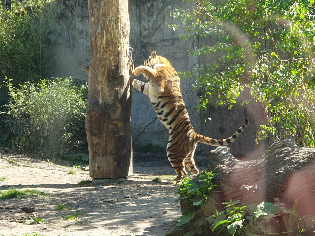 Allwetterzoo Munster景点图片