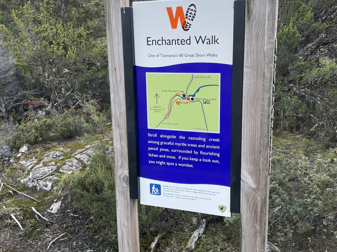 Enchanted Walk景点图片