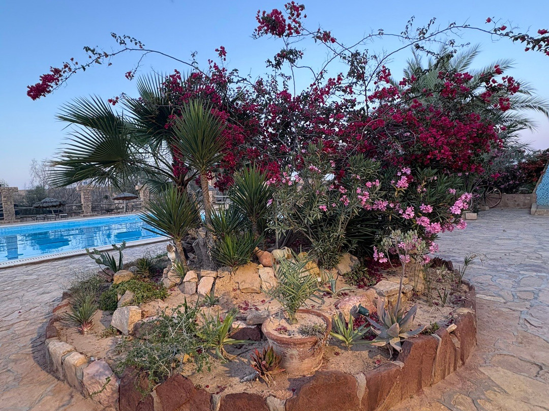 Hotel Dakyanus主图