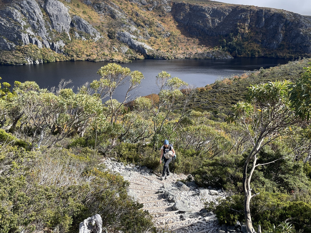 Marion's Lookout Walk景点图片