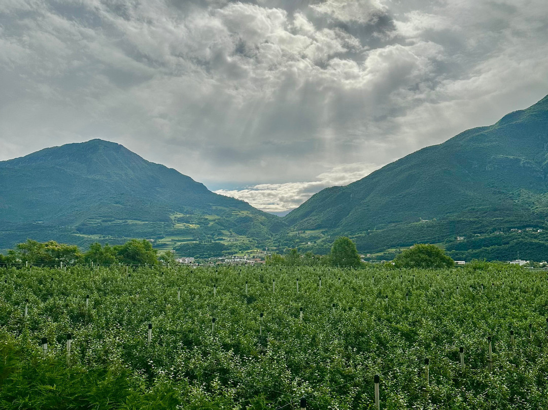 Agriturismo Maso Miri主图