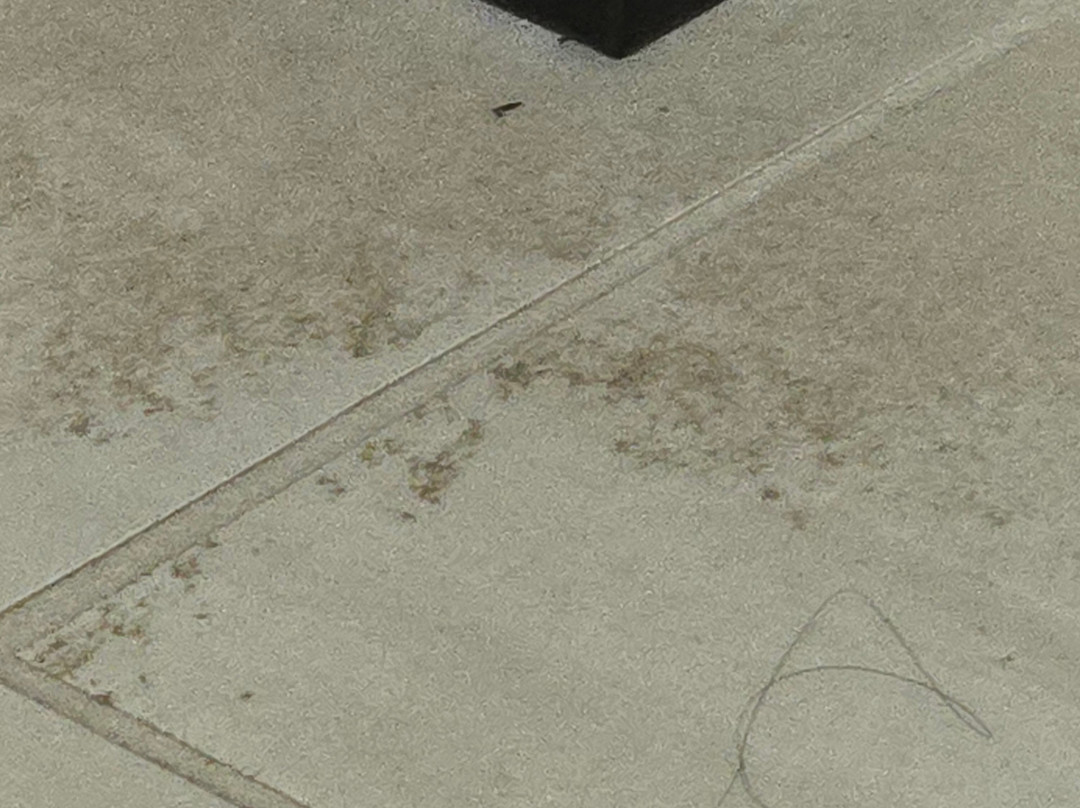 Hyatt Place Murfreesboro主图