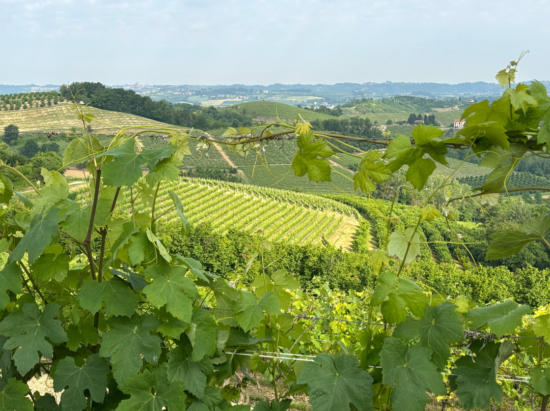 Agriturismo Monbertola主图