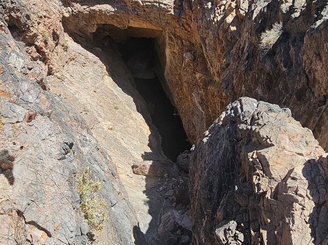 Ash Meadows National Wildlife Refuge-Amargosa Valley必去景点