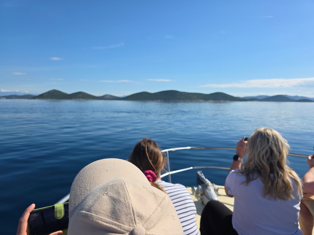 Dolphin Watching Tour - Murter景点图片