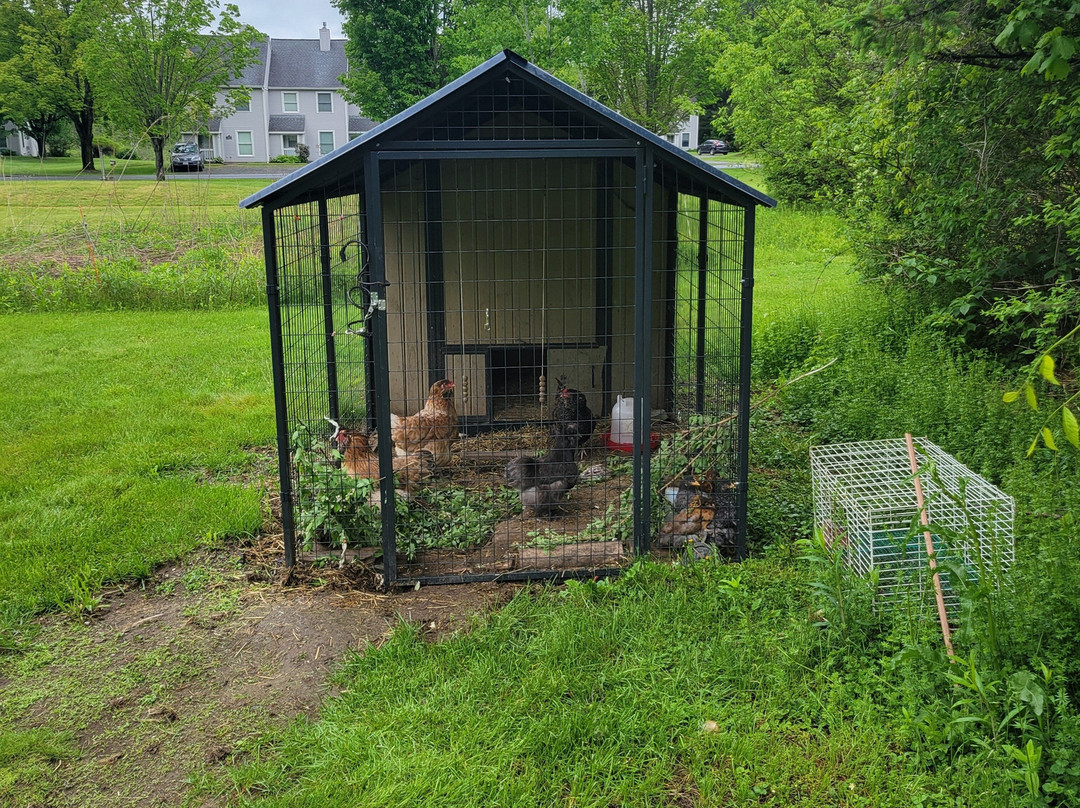 黄铜灯笼酒店主图