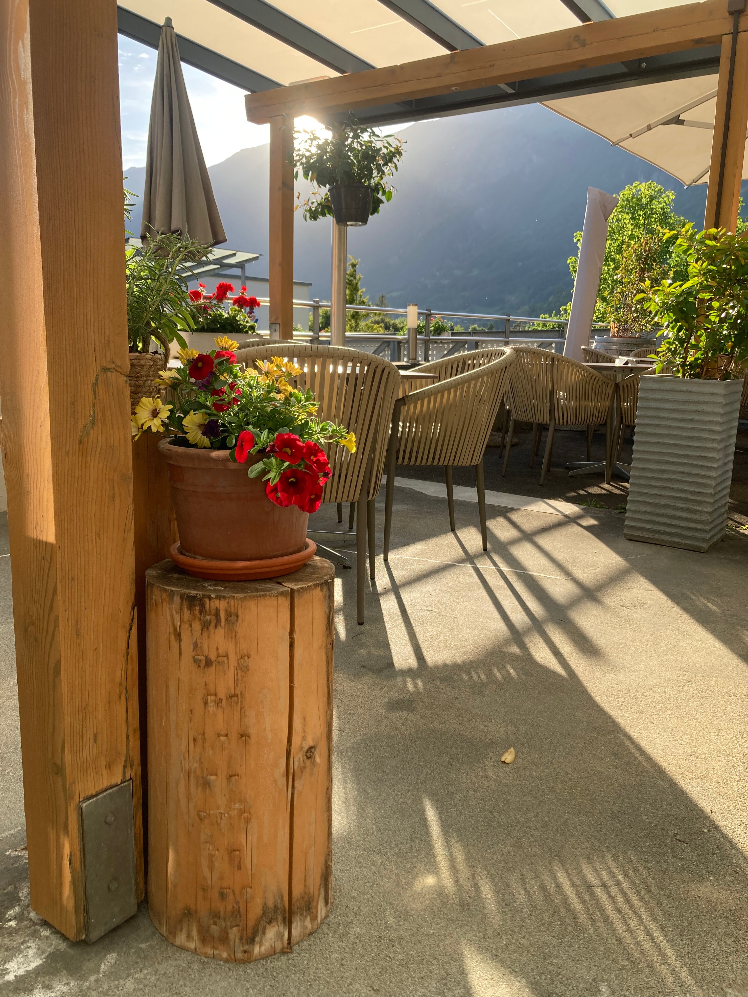 Hotel Brienz-官方