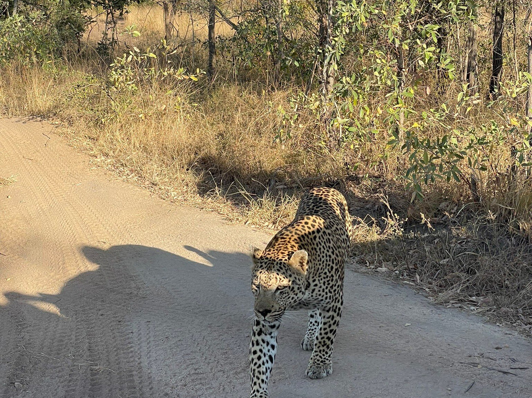EverseenAfrica景点图片