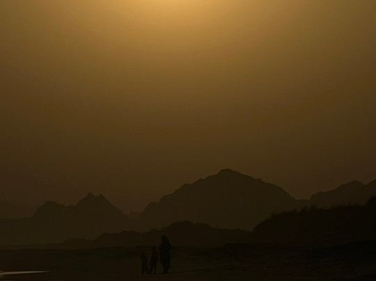 Mangrove Forest in Chabahar-Chabahar必去景点
