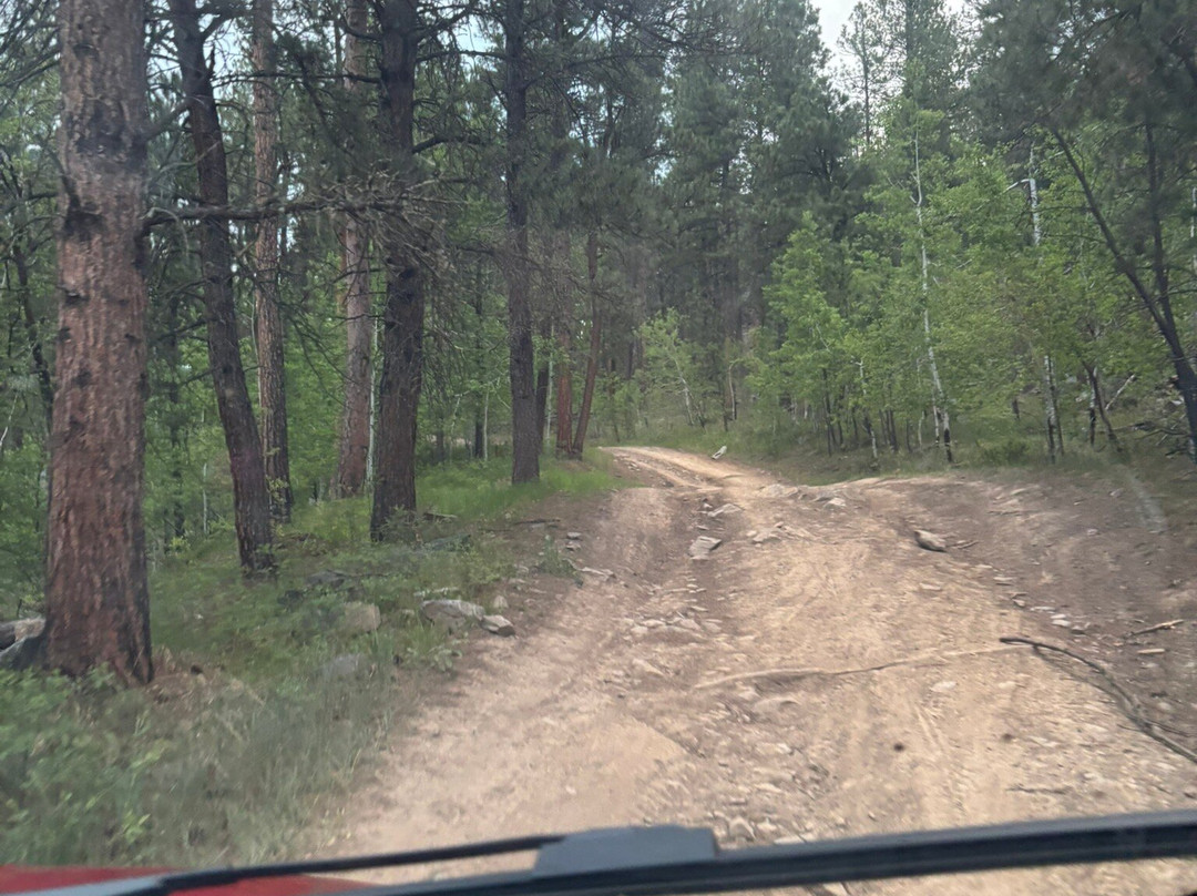 Black Hills Wilderness Edge-基斯通必去景点