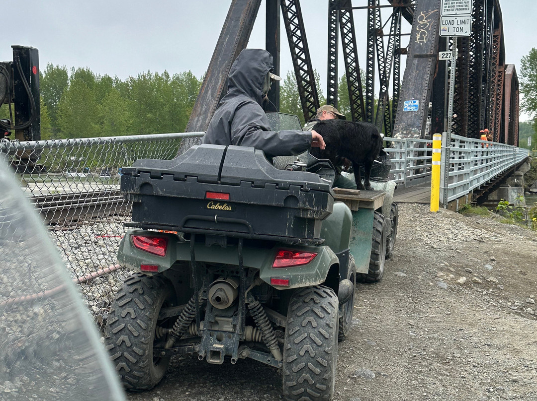 Alaska Wilderness Adventure - Talkeetna Atv Tours景点图片
