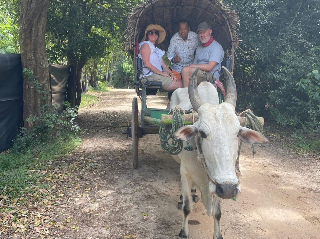 Sri Lanka Driver Tours景点图片