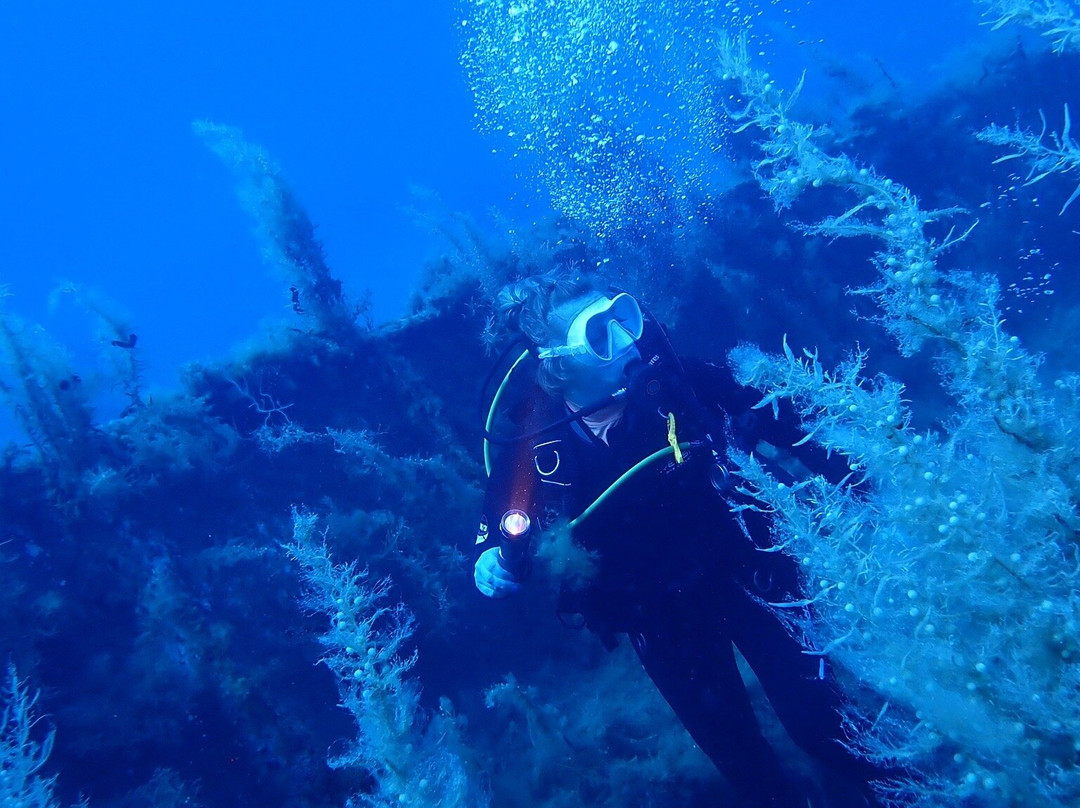 Just Scuba Diving Centre-阿依纳帕必去景点