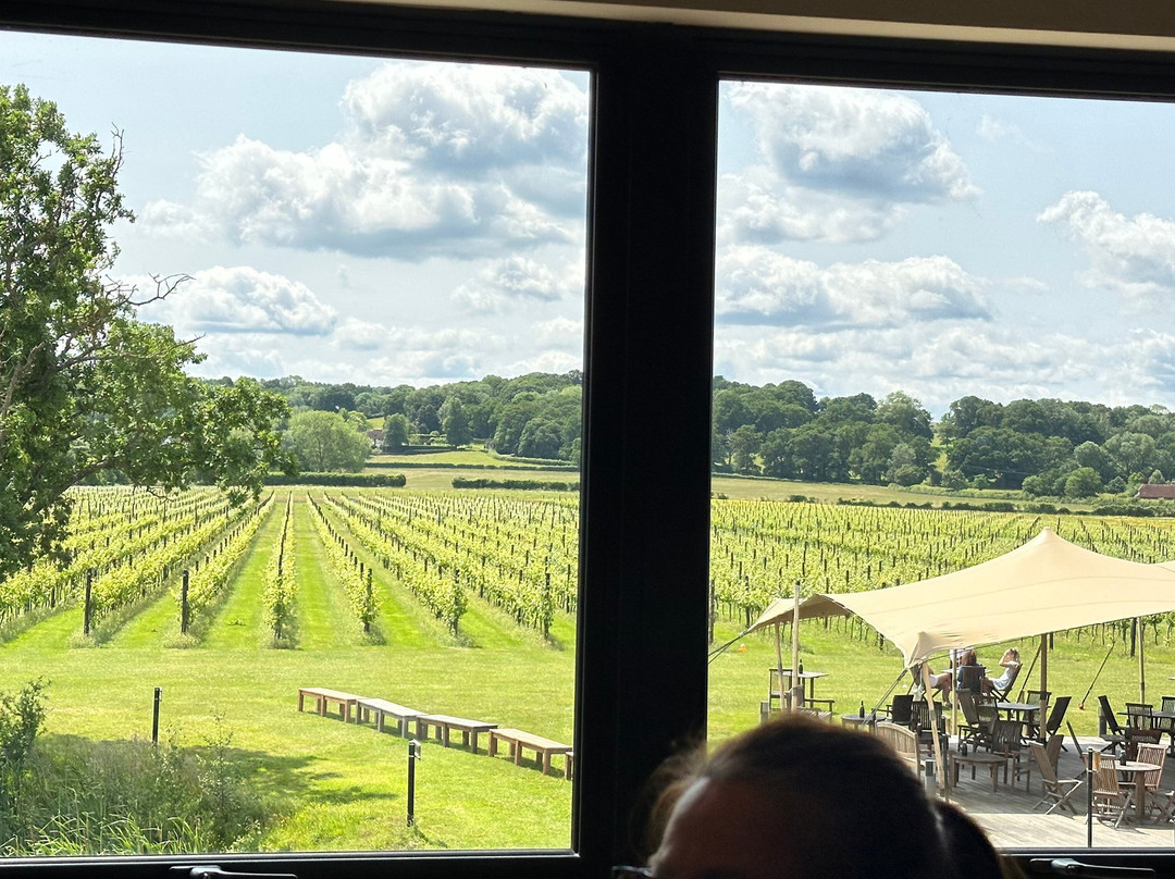 Balfour Winery景点图片