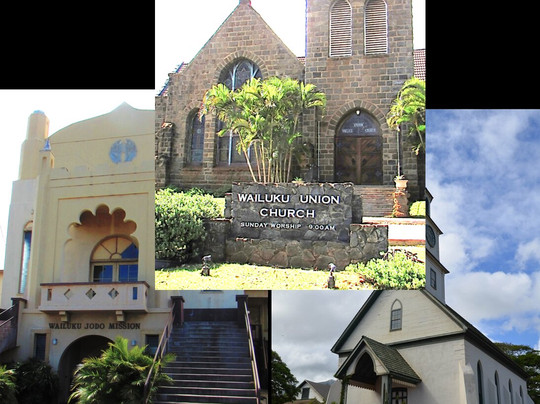 Tonys Tropical Tours On Maui-怀露库必去景点